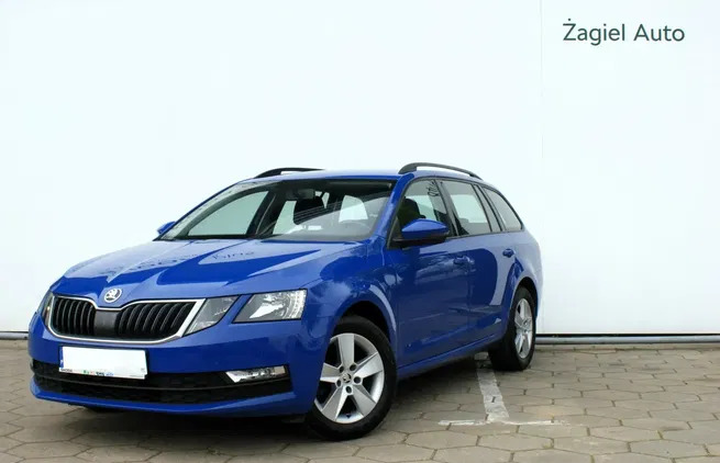 skoda octavia krajenka Skoda Octavia cena 57900 przebieg: 108971, rok produkcji 2019 z Krajenka